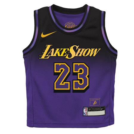 07aa480a2f32417d6ebc4197181d09fb.jpeg Toddler Los Angeles Lakers #23 LeBron James Purple 2024/25 Swingman City Edition Player Jersey