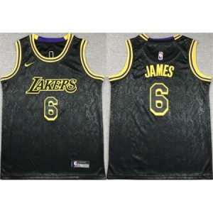 4143eceb04f97d4084395f13ef4d20e7.jpeg Youth Los Angeles Lakers #6 LeBron James Black Stitched Basketball Jersey 7QY7