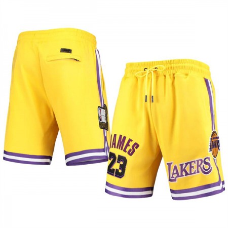 657b819b8b0a08802cb5d068c9f0cbe6.jpeg Men's Los Angeles Lakers #23 LeBron James Yellow Shorts